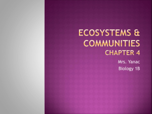 Ecosystems (ch 4)