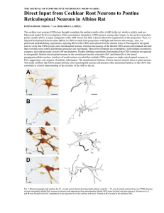 THE JOURNAL OF COMPARATIVE NEUROLOGY 460:80–93 (2003)