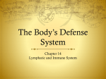 The Body`s Defense System