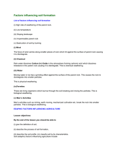 Factors influencing soil formation