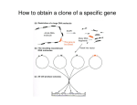 How to obtain a clone of a specific gene