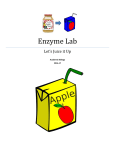 Enzyme Lab - Mrs. Kapper @ NHS