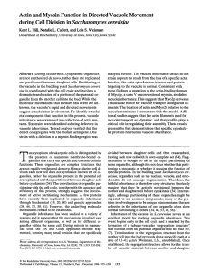 Actin and Myosin Function in Directed Vacuole Movement during