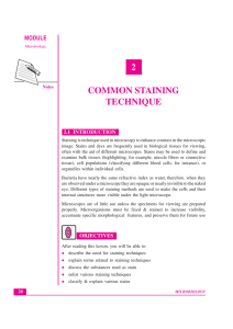 2 common staining technique