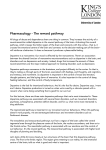 Pharmacology - The reward pathway