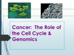 Cancer_Genomics_BIOL_312