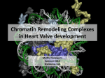 Role of Chromatin Remodeling Complexes during Aortic Valve