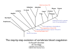 The step-by-step evolution of vertebrate blood coagulation