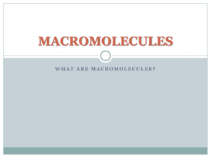 What are macromolecules?