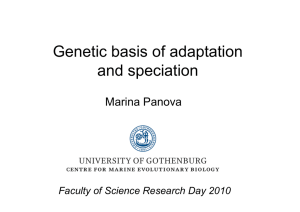 Genetic basis of adaptation and speciation
