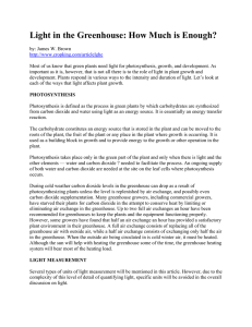 Light in the Greenhouse: How Much is Enough?