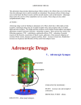 adrenergic drugs