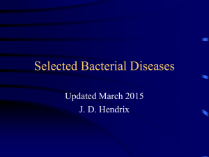 VA Bacterial Diseases