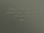 Climate Determines Global Patterns in the Biosphere