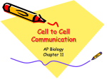 Cell to Cell Communication