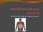 Mouth through your stomach!