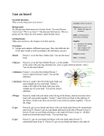 I am an Insect! - Garden Earth Naturalist