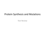 Protein Synthesis and Mutations - Mr. Dalton