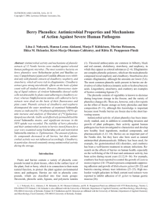 Berry Phenolics: Antimicrobial Properties and Mechanisms of Action