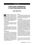 Herpes Zoster Ophthalmicus: A Case of Reactivated Varicella
