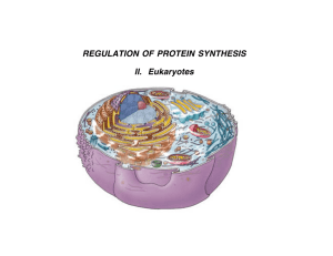Regulating Protein Synthesis