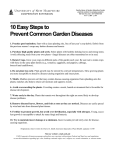 10 Easy Steps to Prevent Common Garden Diseases
