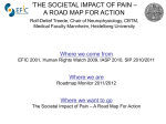 Presentation - Societal Impact of Pain