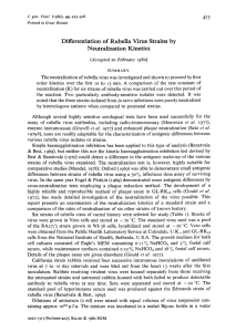 Differentiation of Rubella Virus Strains by Neutralization Kinetics