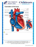 Normal Heart NOTES: Normal Heart