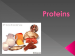 Proteins - Mr. McKittrick`s Website
