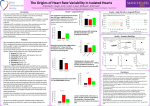 The origins of heart rate variability in isolated hearts