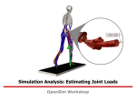 Induced Acceleration Analysis