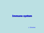 Immune system