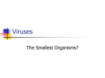 Viruses - Ms. Racette`s Wiki