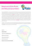 Structure of the Brain and Neurotransmitters