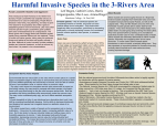 Harmful Invasive Species in the 3-Rivers Area
