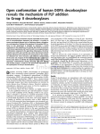 Open conformation of human DOPA decarboxylase