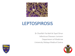 LEPTOSPIROSIS