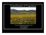 Classification of Vegetation - Montana Natural Heritage Program