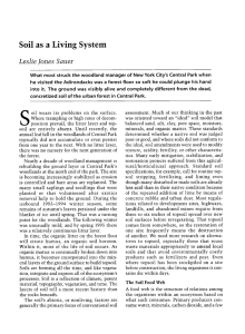 Soil as a Living System