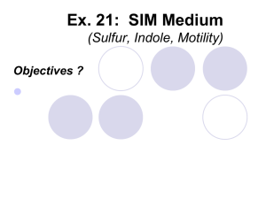 Prelab Discussion