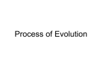 Process of Evolution