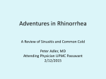 Adventures in Rhinorrhea