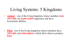 Living Systems