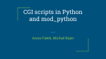 CGI scripts in Python and mod_python