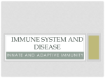 IMMUNE SYSTEM and DIseasE