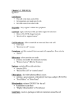 Cell Organelle Notes