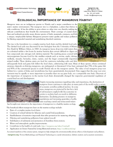 Ecological Importance of mangrove Habitat