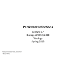 Persistent InfecIons