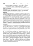 Effects of ocean acidification on calcifying organisms